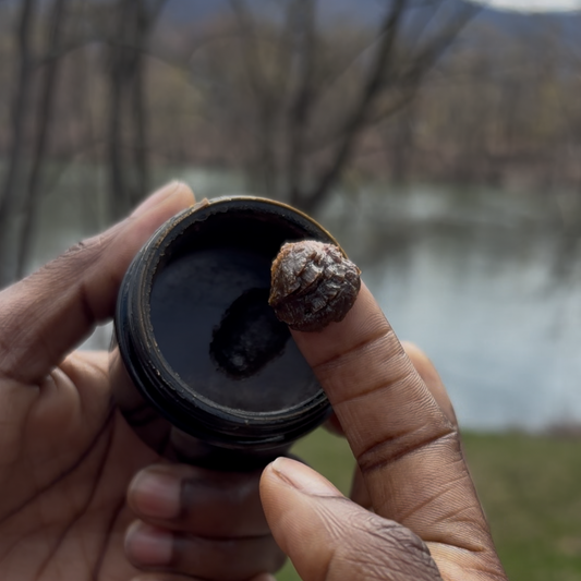 Pure Uncut Batana Oil 100% Wildcrafted | Honduras Specie | Raw & Ancestral 2oz